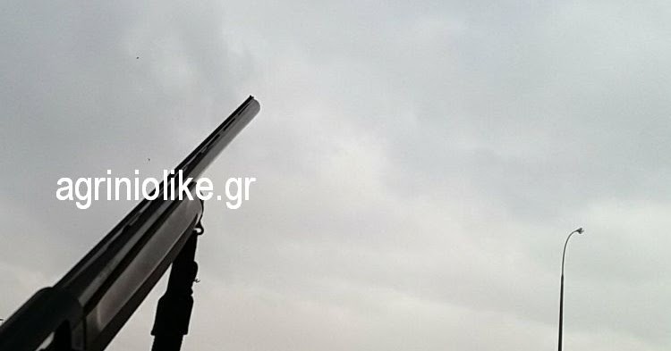 ΑποτÎλεσμα εικόνας για agriniolike όπλο