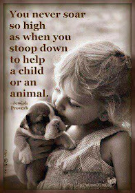  animal, dog, cat, pet, animal, inspiring quotes for animal lovers, petsnmore.org, child