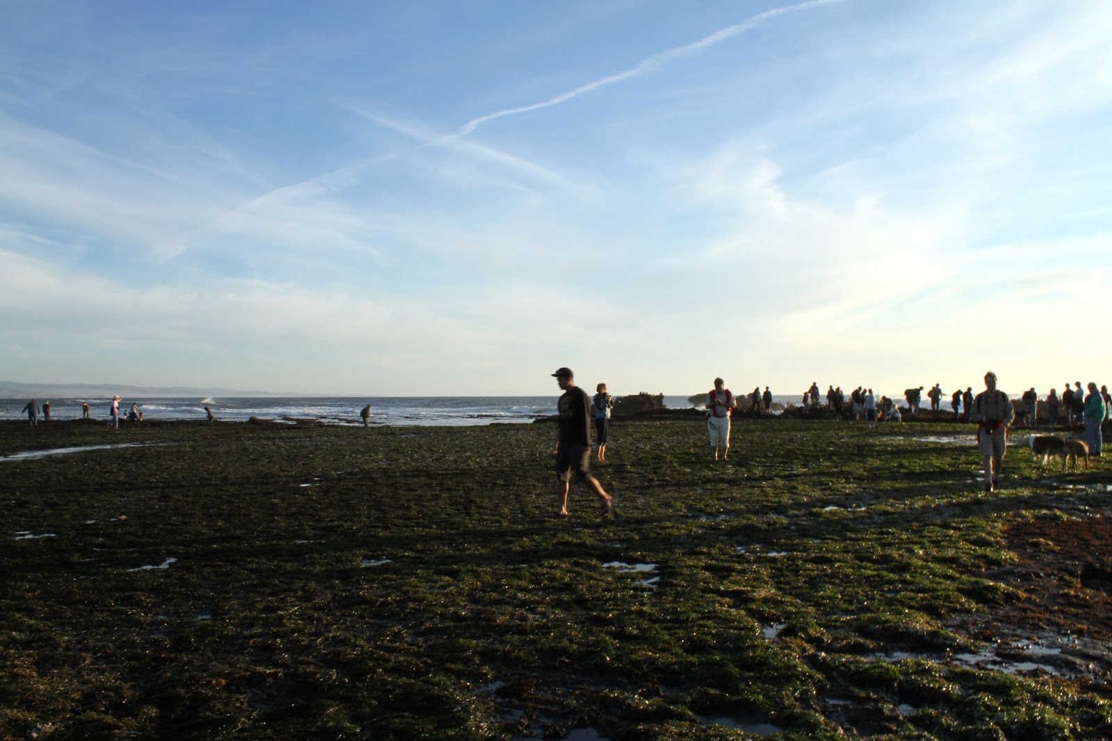 Naturetastic Blog Sunset Mega Low Tide at Half Moon Bay (Part 5)