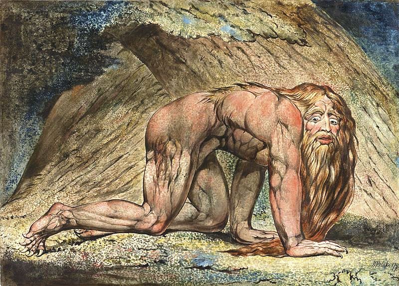 Pride of Nebuchadnezzar that caused his insanity and an animal-like existence