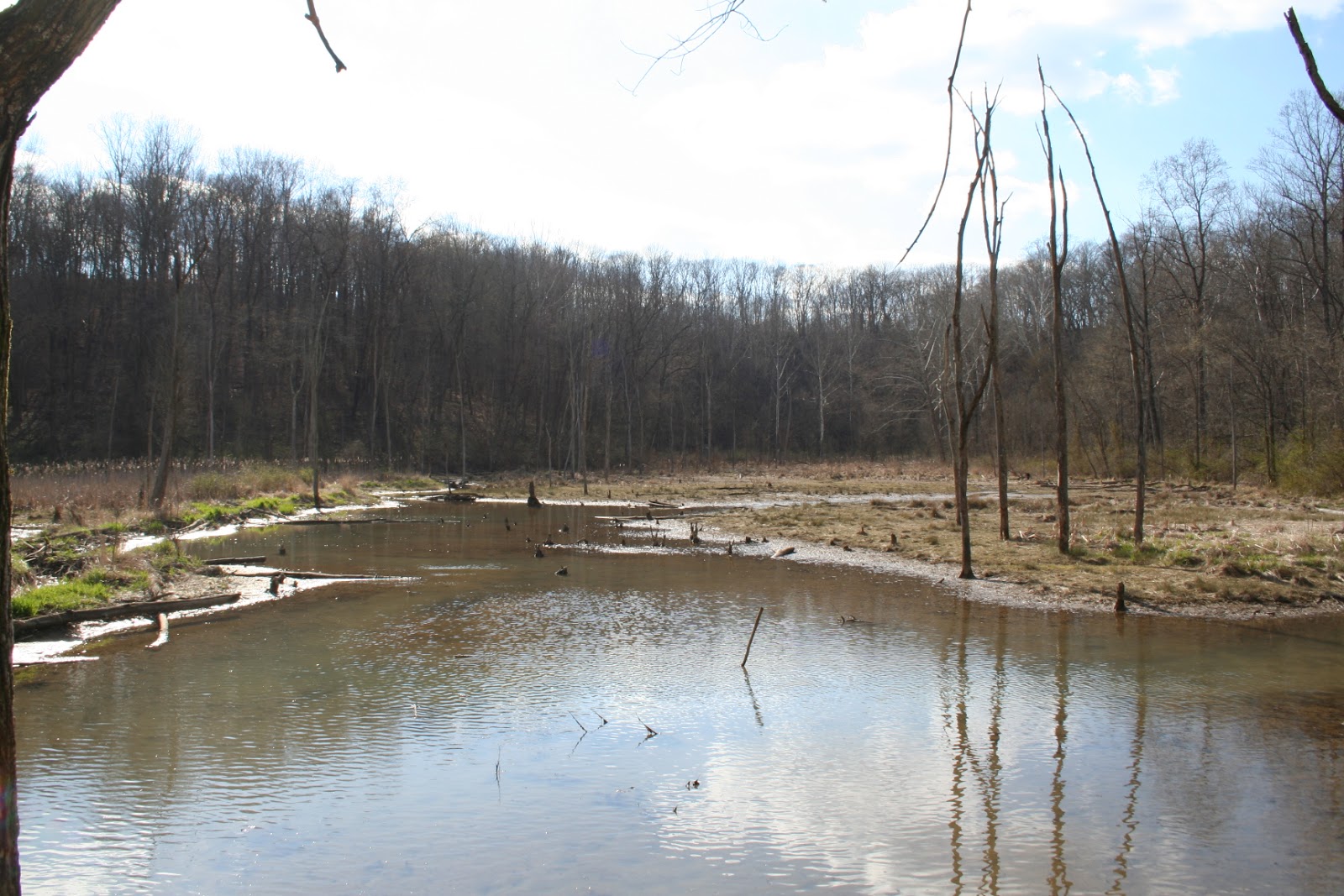 Bloomington, IN Leonard Springs Nature Park Explore This City