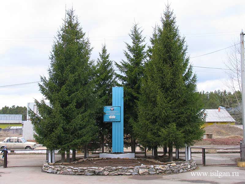Могила дипкурьера Махмасталя И.А. Село Багаряк. Челябинская область.