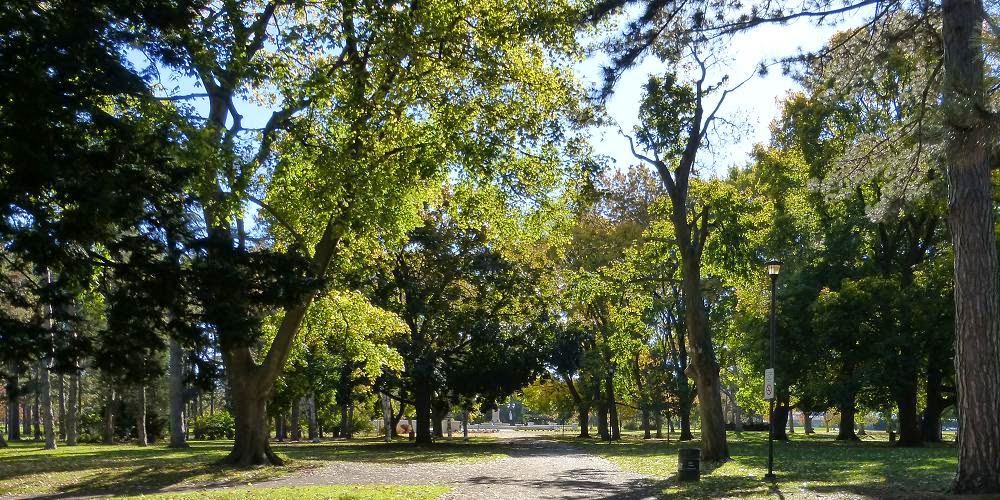 i fiori meet me at Gage Park