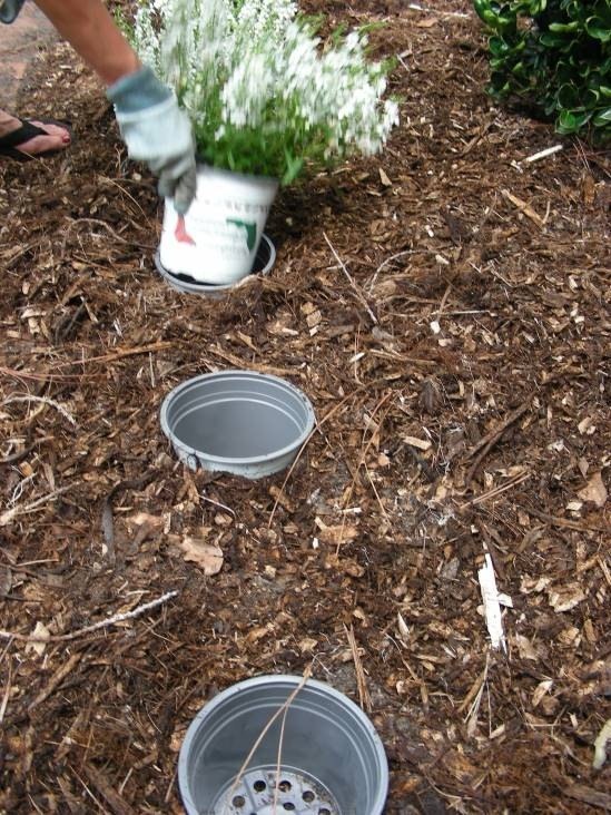5 Insanely Clever Gardening Tricks 101 Gardening