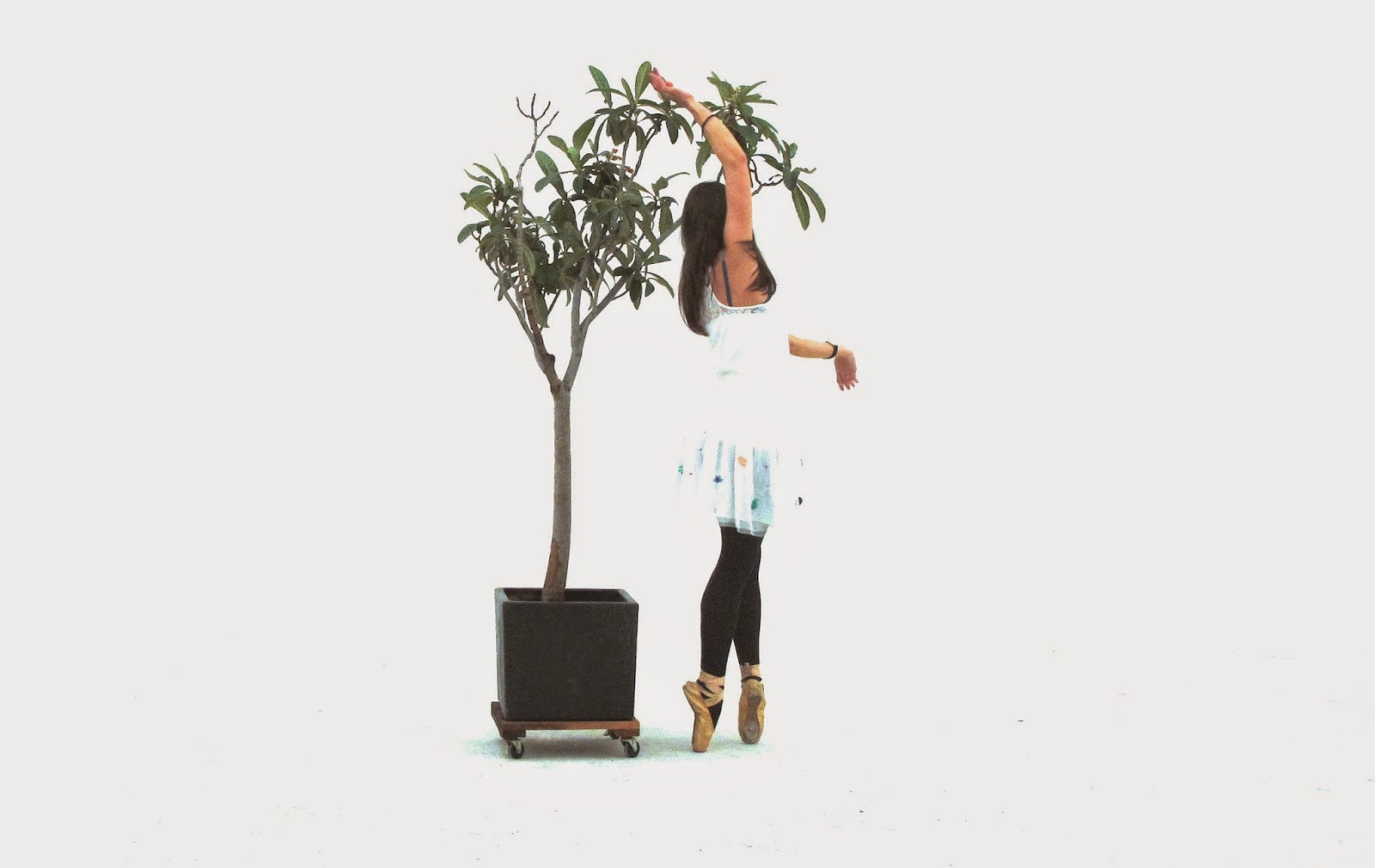 Honevo Blog: DANZA BIÓNICA - BIONIC DANCE / DANCING WITH TREES ...