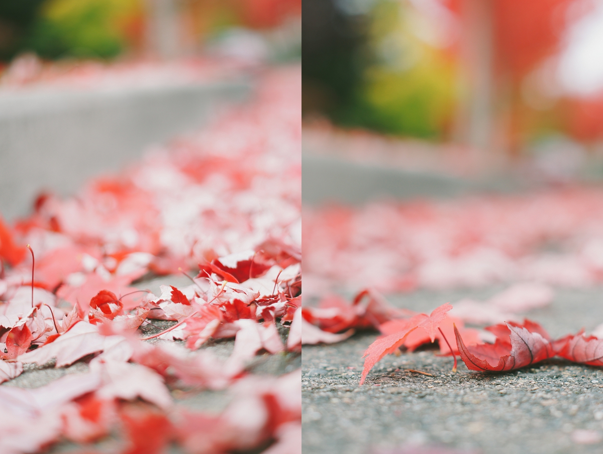 Ribbons Down My Back Hello, Fall.