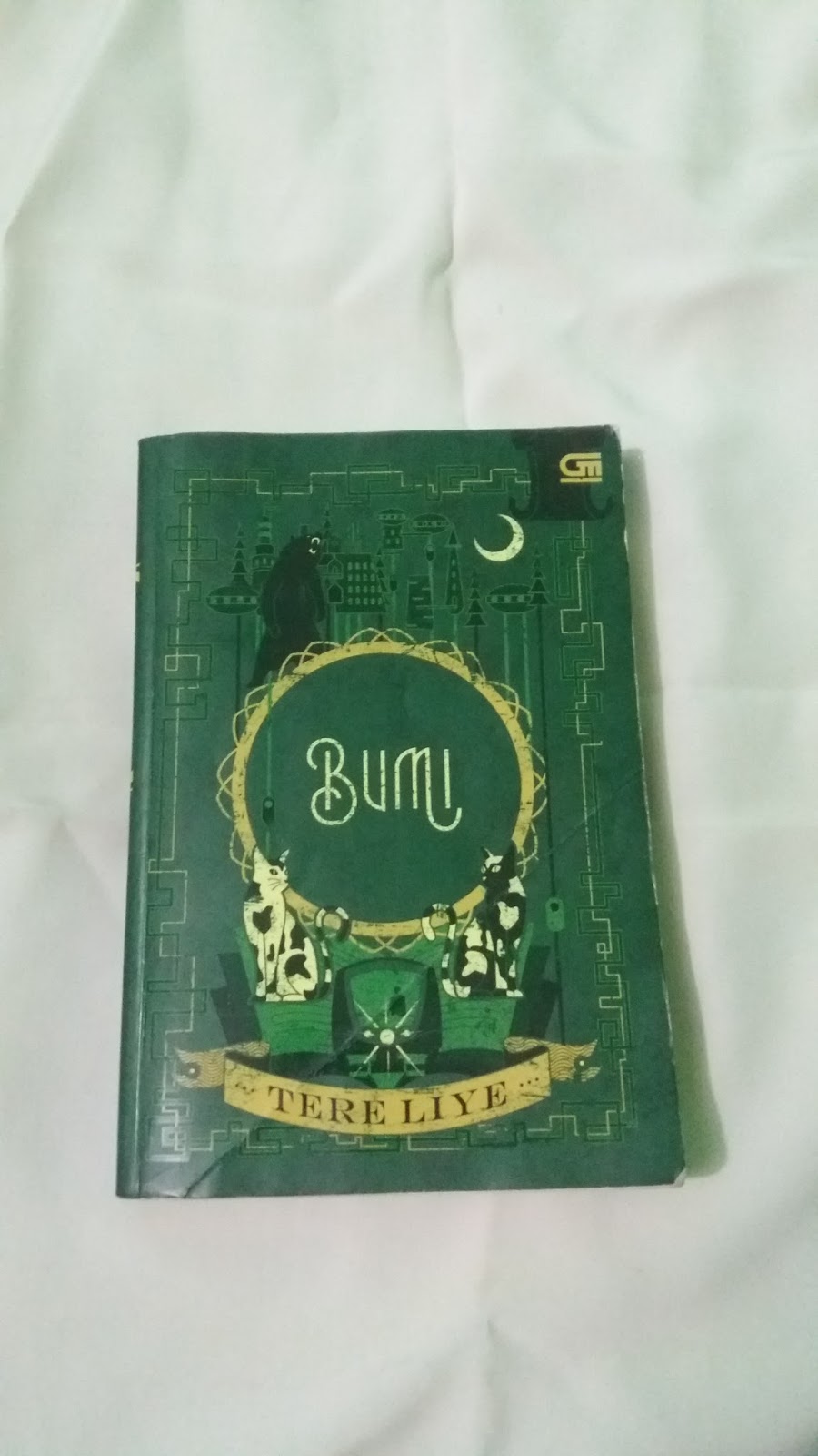 Artikel Sinopsis Novel Bumi Karya Tere Liye