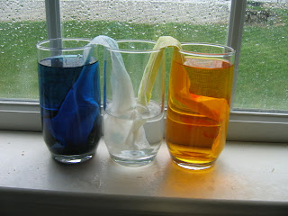CONTROLLING Craziness: Blue + Yellow = Green Science Experiment