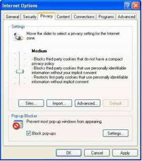 Gambar 5.20: Internet Explorer’s privacy settings.