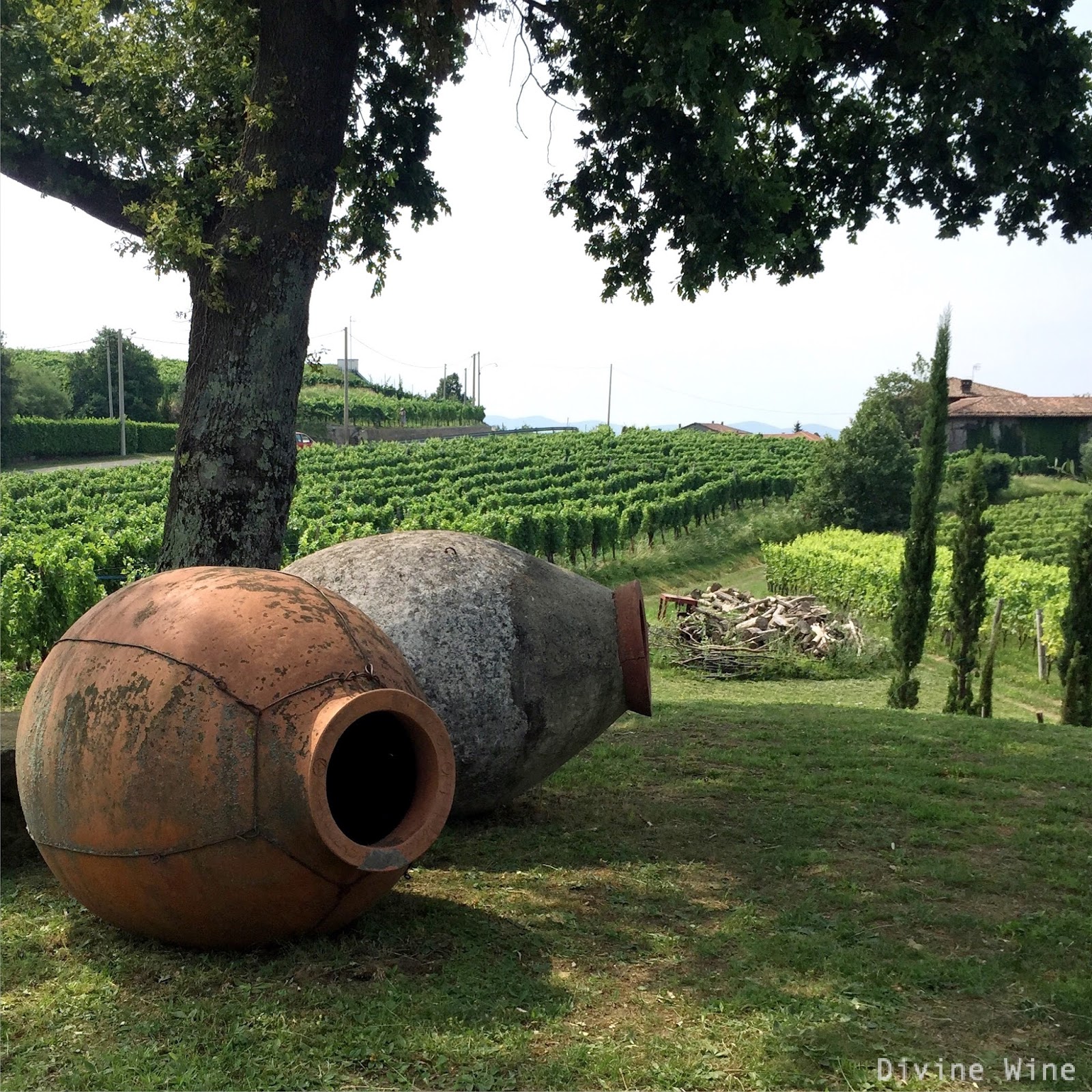 Квеври кахетия. Амфора квеври. Qvevri wine. Qvevri wine. Saperavi qvevri.