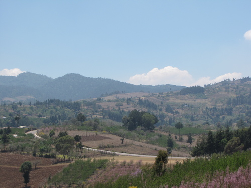 Jalapa Jalapa