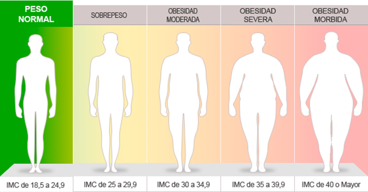 Confusin tratamientos caseros para eliminar la grasa del abdomen finales hora tomar tratamientos caseros para eliminar la grasa del abdomen