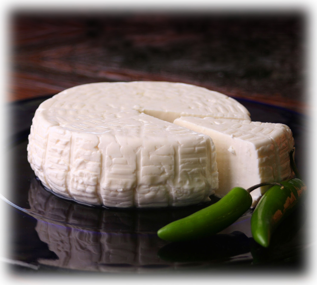 Todo sobre quesos Mundoquesos Panela