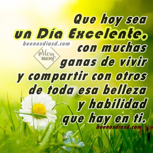 Imagenes O Frases De Buenos Dias | frases de buenos d 205 as buenos d 237 as para ti Imagenes O Frases De Buenos Dias | frases de buenos d 205 as buenos d 237 as para ti