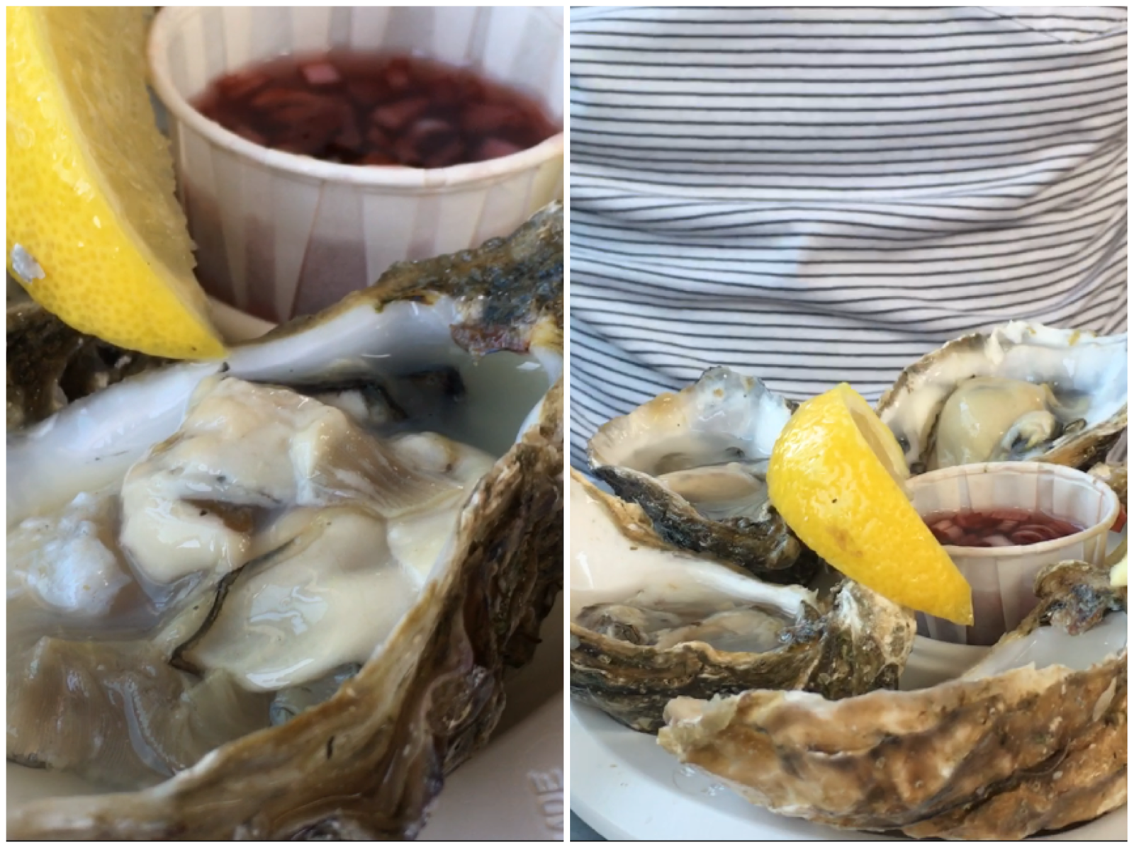 Oysters in Whitstable, Kent