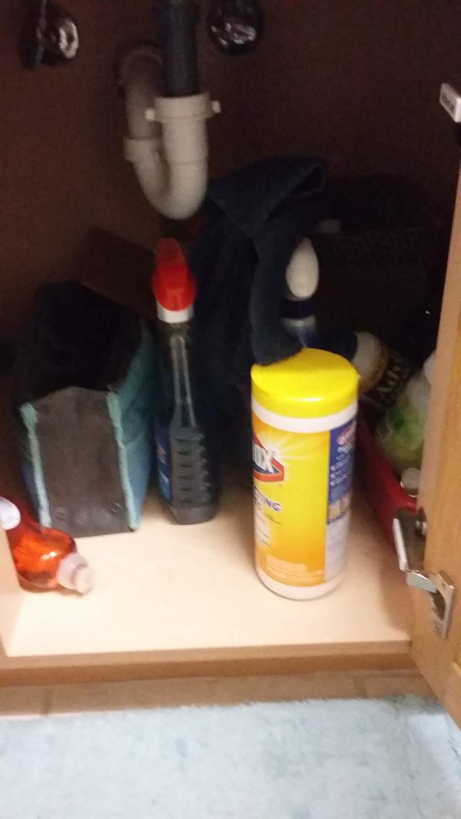 Friends at the Woods Packing for College...Cleaning Supplies