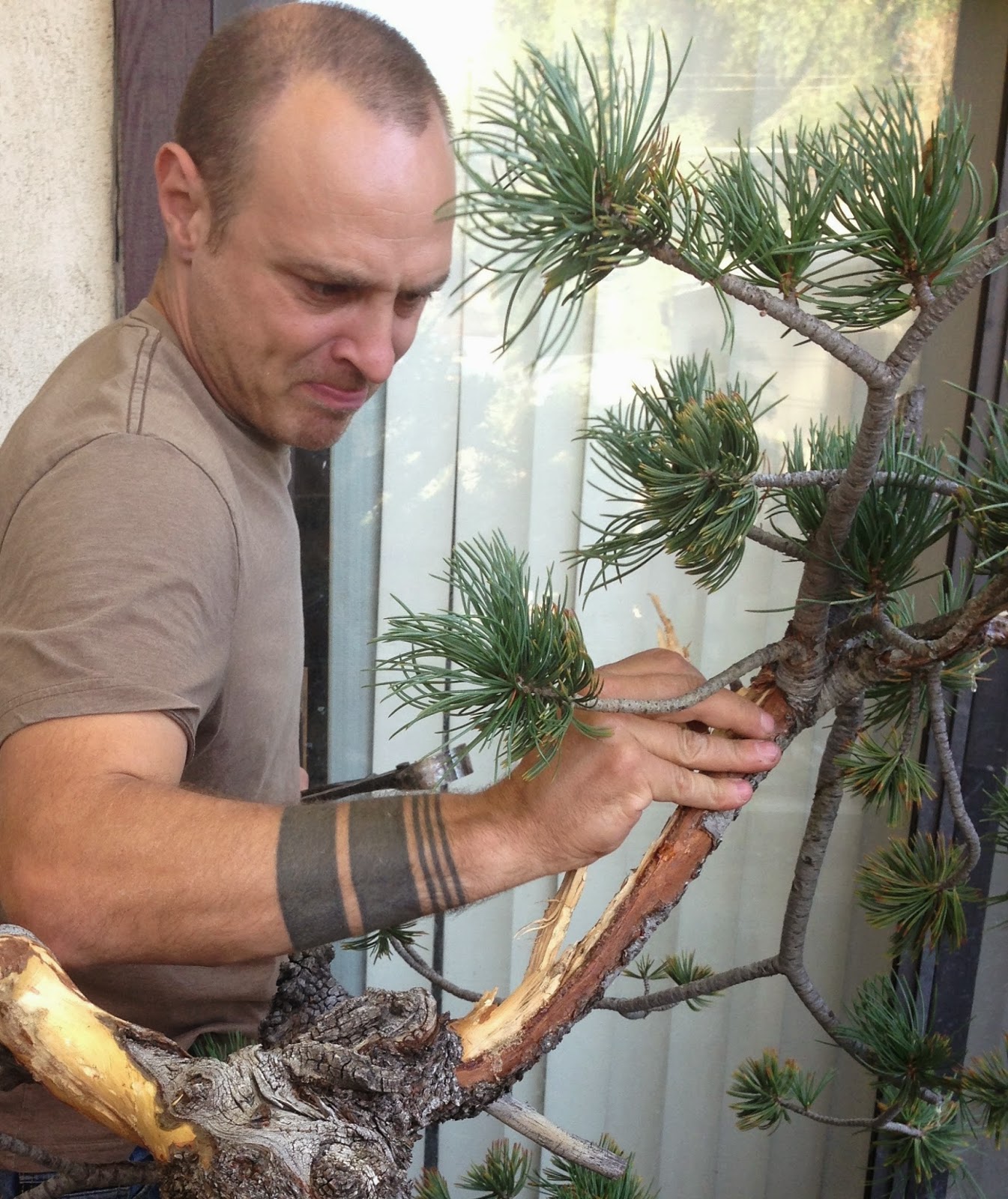 Branch Work Branch and trunk bending techniques