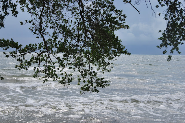 Bãi biển tại Đào Thỏ - một ngày mùa mưa