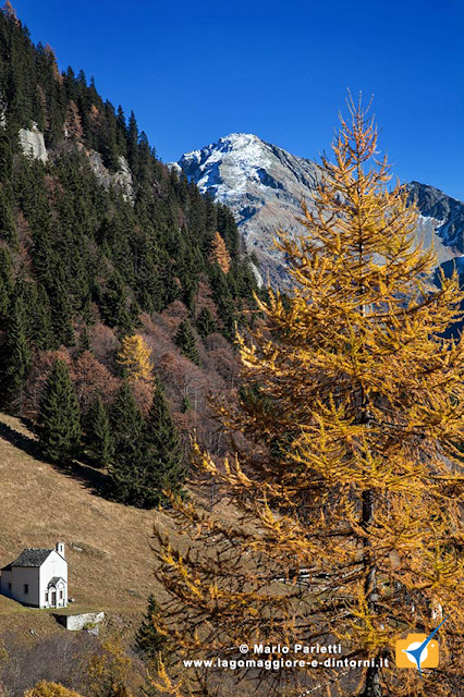 Panorama nei pressi dell'Alpe Vova Panorama nei pressi dell'Alpe Vova