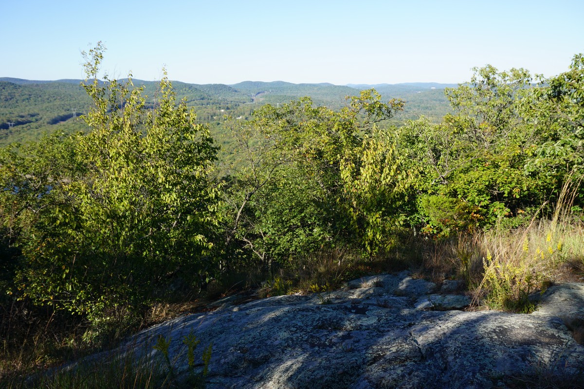 Harriman Hiker Harriman State Park and Beyond Board Mountain at