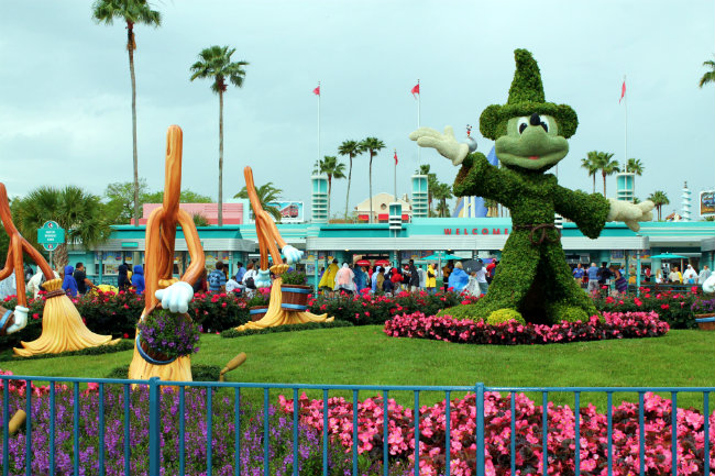Hollywood Fantasia