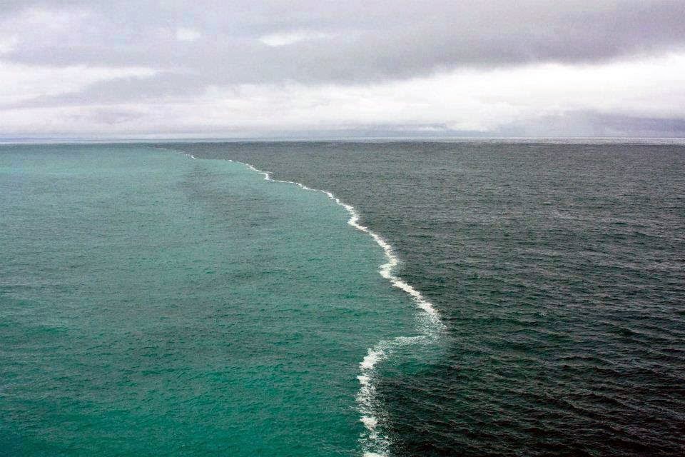 Gambar sungai dan laut yang tak bercampur biarpun bersama. Sangat Wow ...