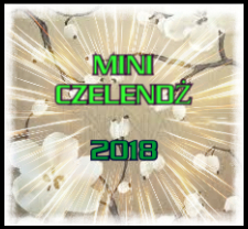 Mini czelendż 2018