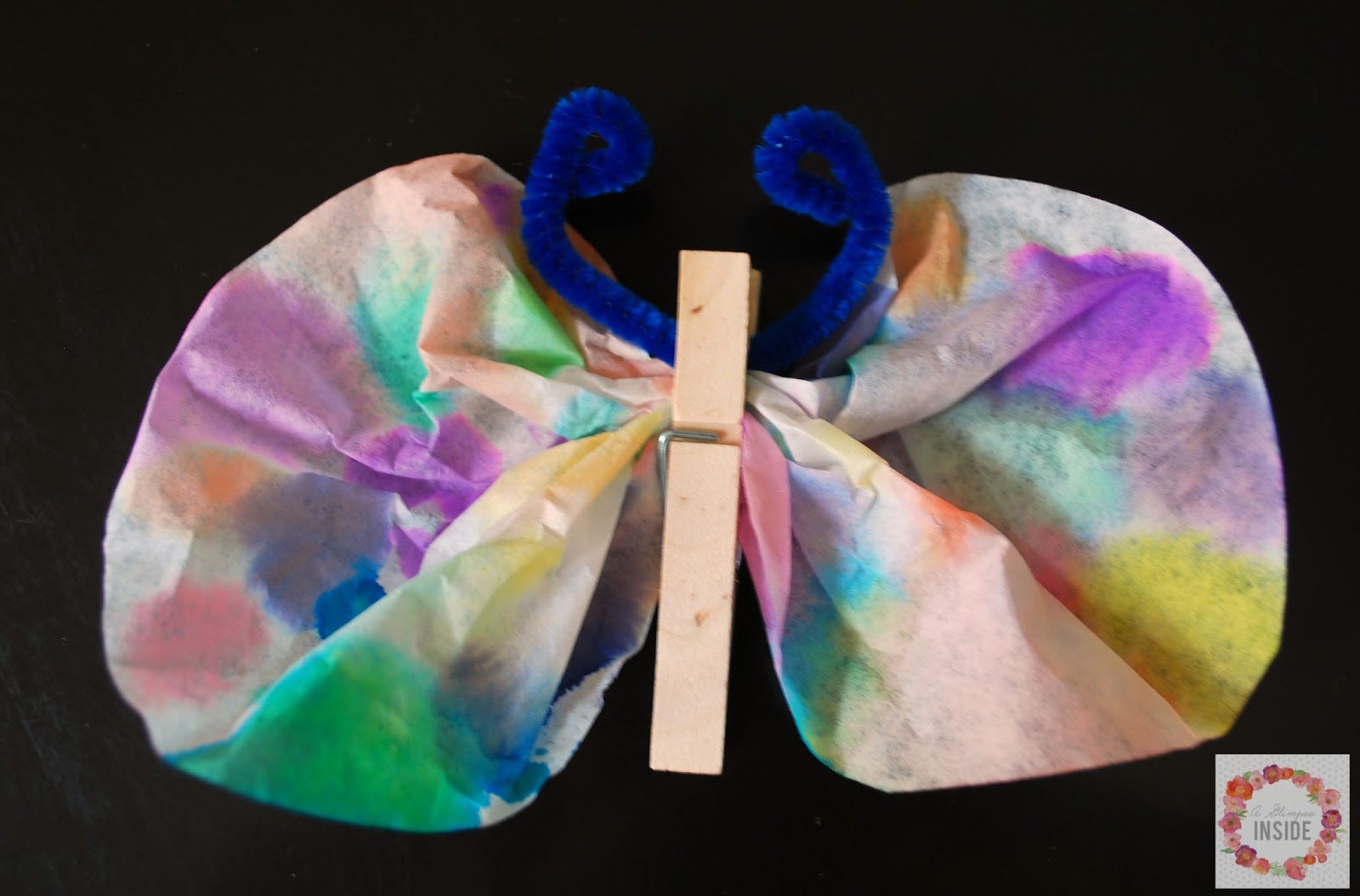Coffee Filter Butterflies A Glimpse Inside