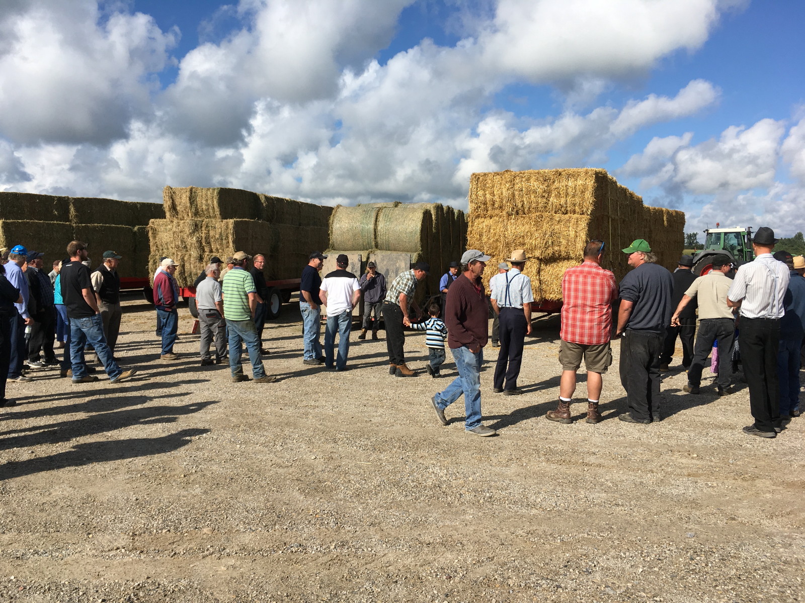 Anja's Photo Journal Elmira Hay Auction