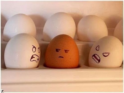 Funny Food Pictures Eggs