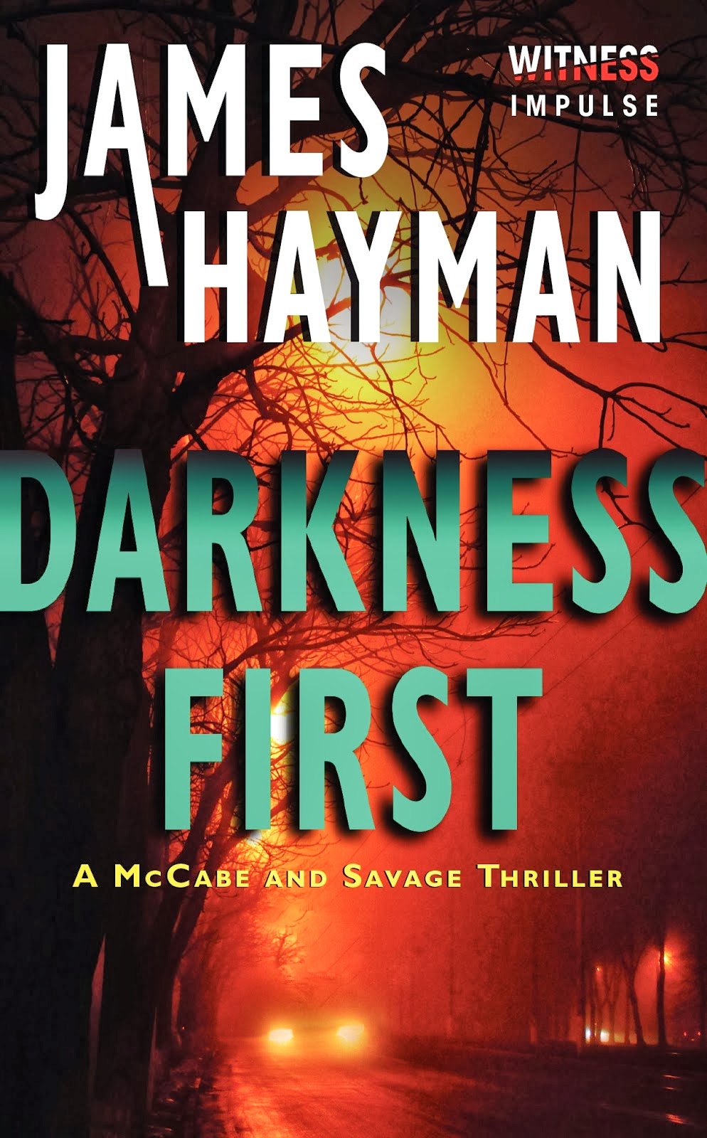 Literary R&R: {Edelweiss Review} Darkness First by James Hayman