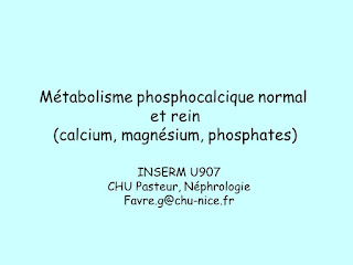 Métabolisme phosphocalcique normal et rein (calcium, magnésium, phosphates) .pdf