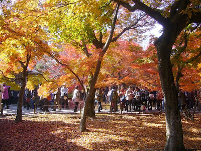 京都府京都市・臨済宗大本山 東福寺の紅葉〔絶景〕