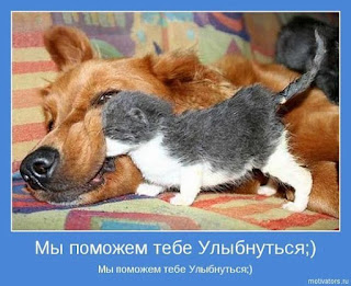 Как стать счастливее