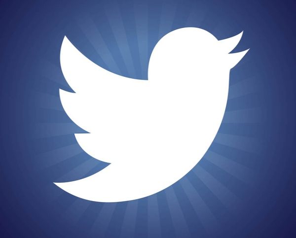 Free New Twitter Bird Logo Graphics