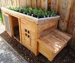 plans coop garden herb chickens egg unique chicken coup herbs gardening hens eggs designs chicks shells grounds coffee build
