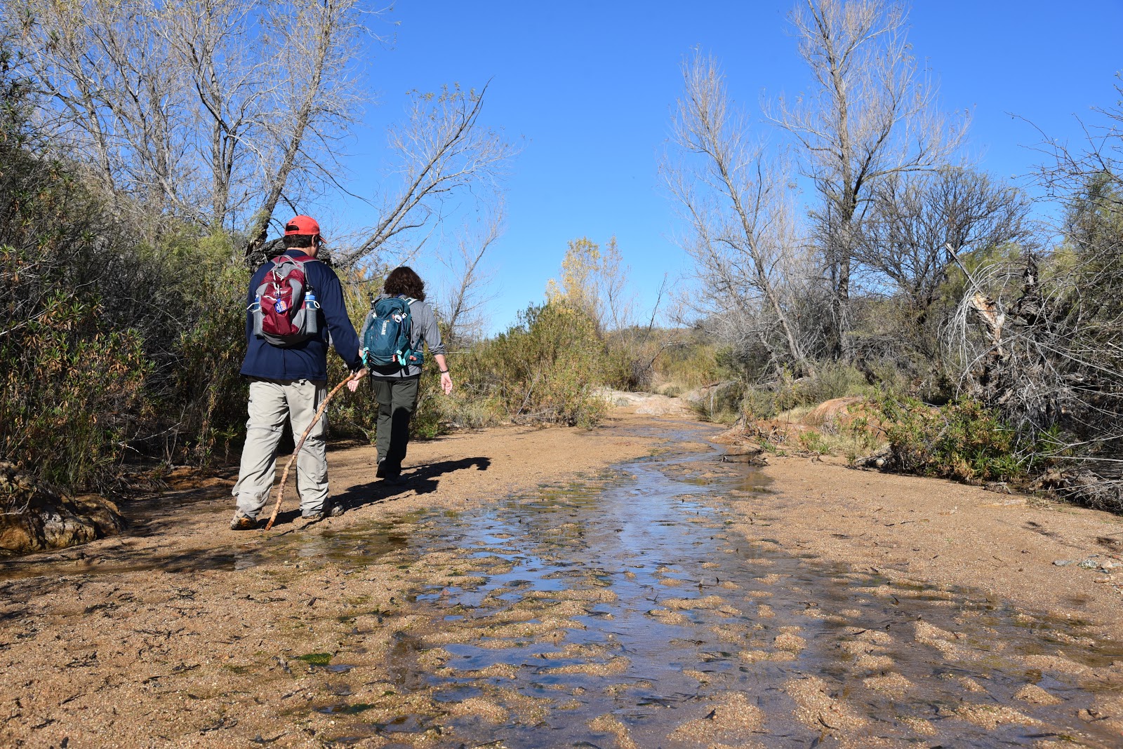 Arizona Hiking: BADGER SPRINGS WASH TRAIL