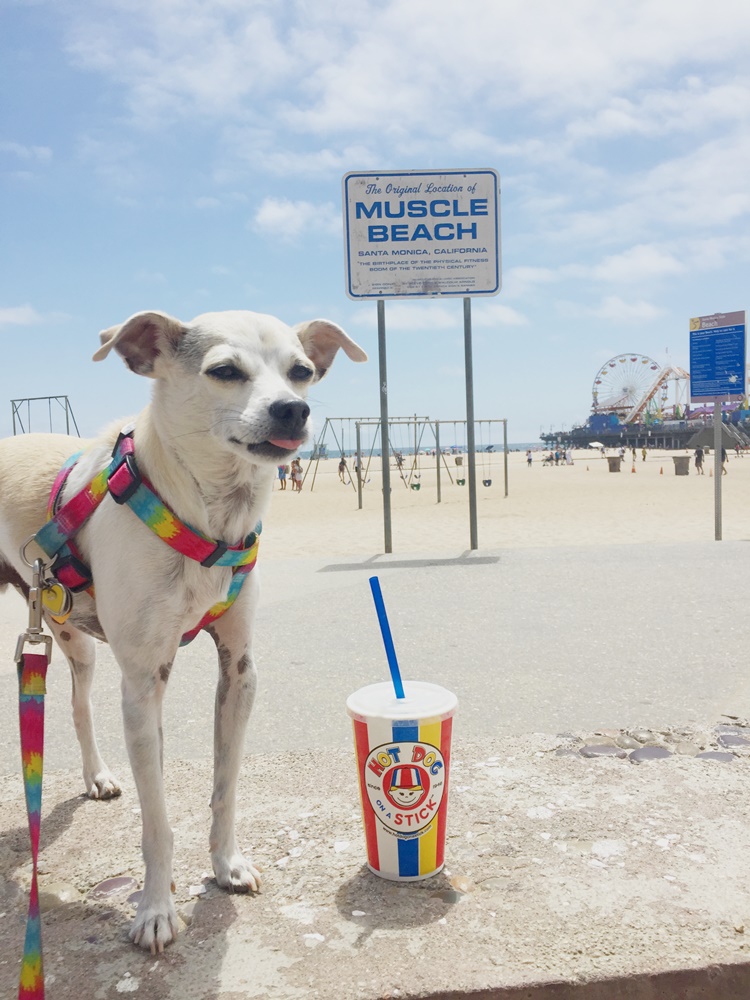 TBT HOT DOG HAPPY AT HOT DOG ON A STICK IN SANTA MONICA — HAPPYHAZEL