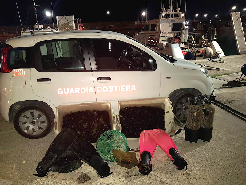 Pescatori abusivi rifornivano il mercato nero in Puglia Duro colpo alla “banda del riccio” Sequestrati oltre 800 ricci di mare