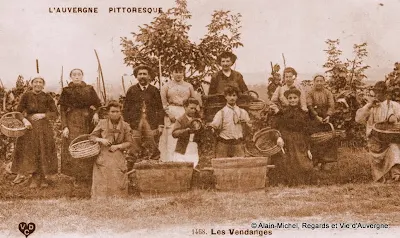 CPA 51 Vendanges En Champagne – Carte Postale Ancienne 1900 – Scène De Vie