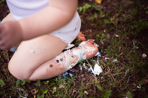 First Birthday Cake Smash Photo