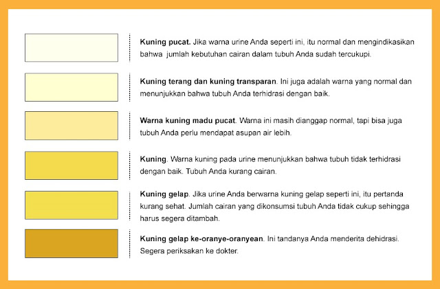 Penyakit Ginjal: Ciri-ciri, Penyebab dan gejala Sejak Awal Hingga Kronis