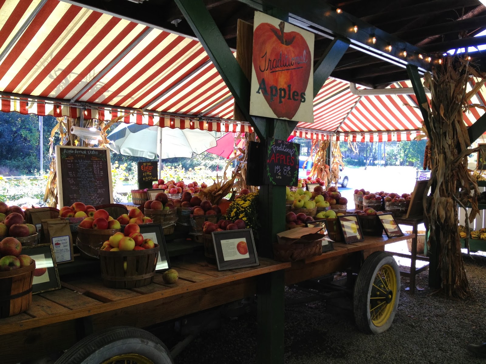 Apples and Pumpkins Galore Upstate Farm Stands