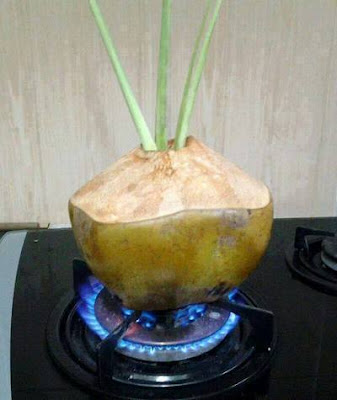 Manfaat Herbal
