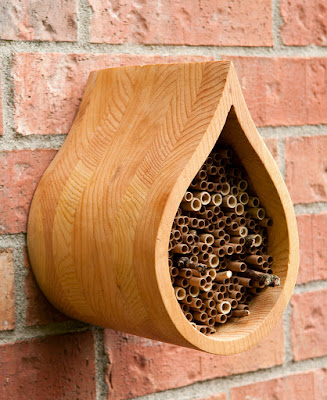 solitary bee hotel house for solitary bee