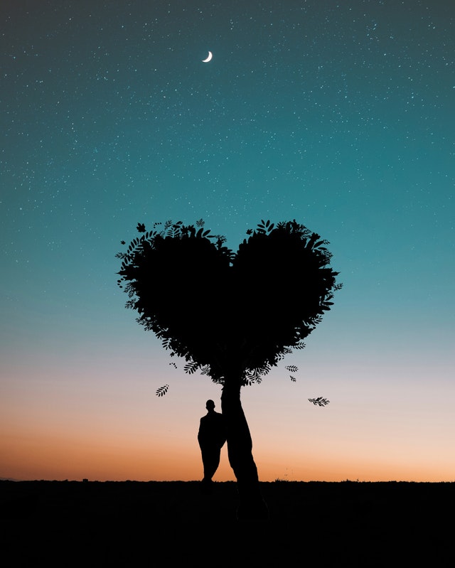 Kata Kata Mutiara Bijak Cinta
