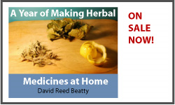A Year of Making Herbal Medicines