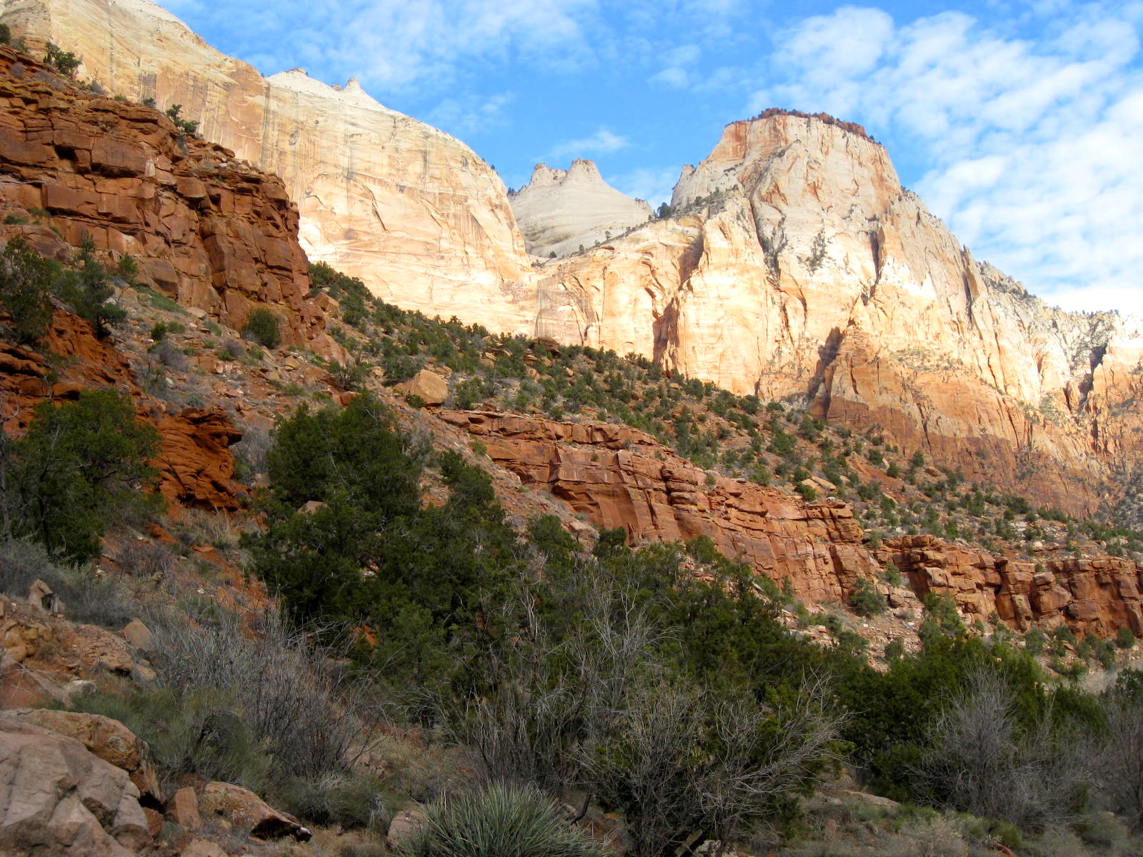 Embarking with Bear and Roger About Beautiful Zion National Park I