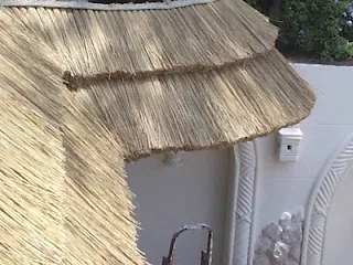 African reed roof cover