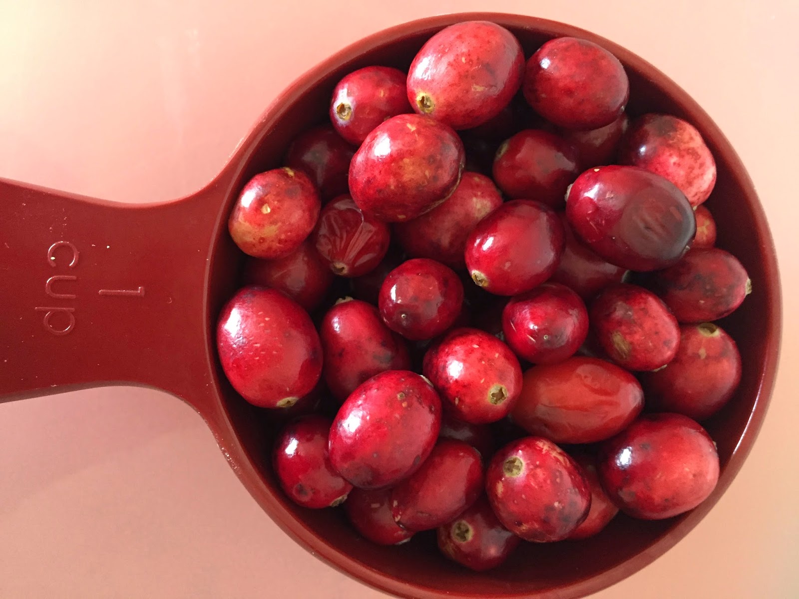 Cranberry Vuragaya (Pickled Cranberry) For a Healthy Lifestyle Veggibites